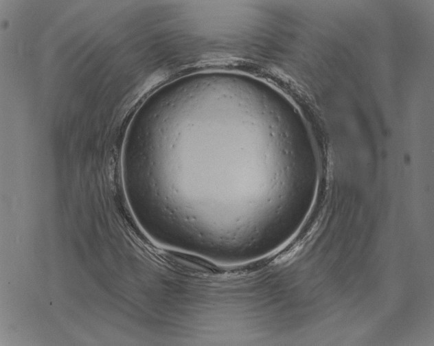 X0000073761401200608171345