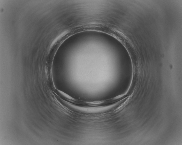 X0000073761402200608171345