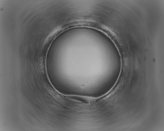 X0000073761403200608171345