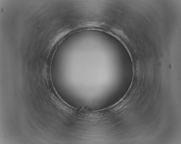 X0000073761404200608171345