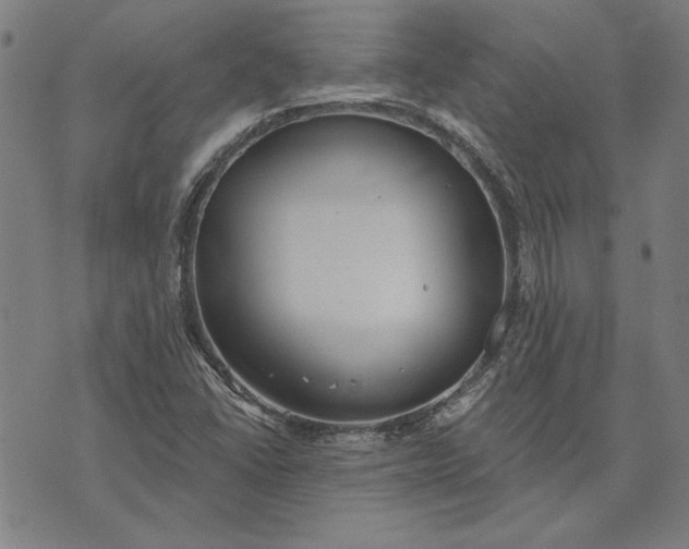 X0000073761406200608171345