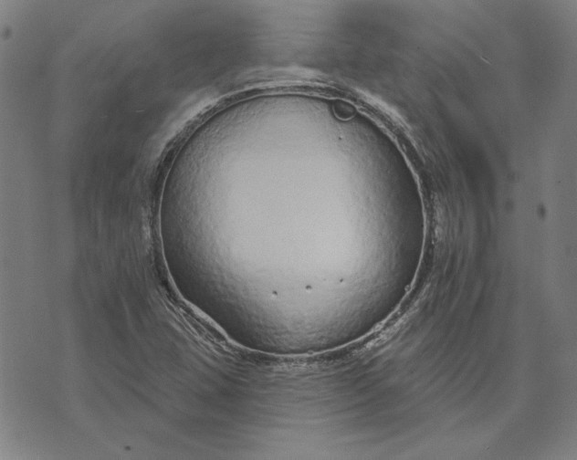 X0000073761407200608171345