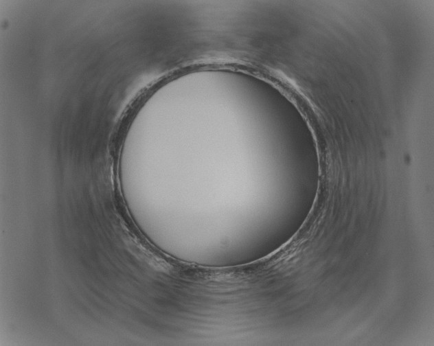 X0000073761408200608171345