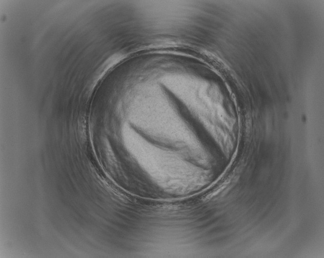 X0000073761409200608171345