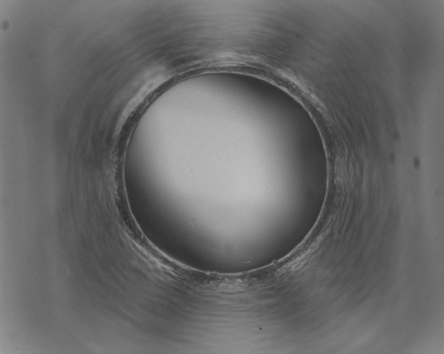 X0000073761410200608171345