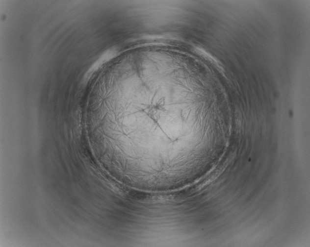 X0000073761411200608171345