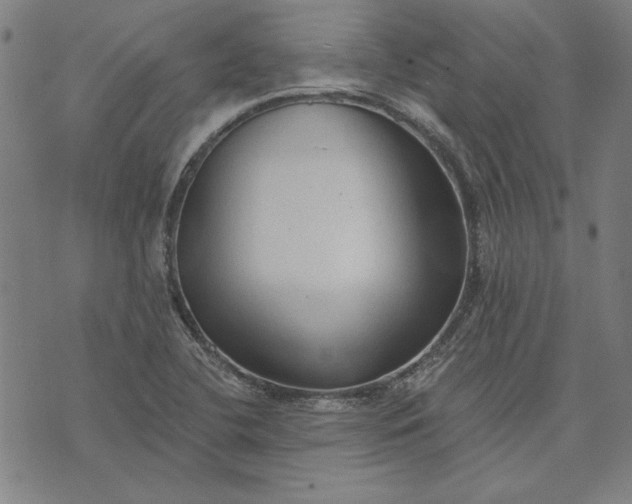 X0000073761412200608171345