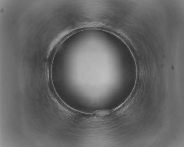 X0000073761414200608171345