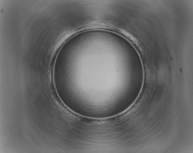 X0000073761415200608171345