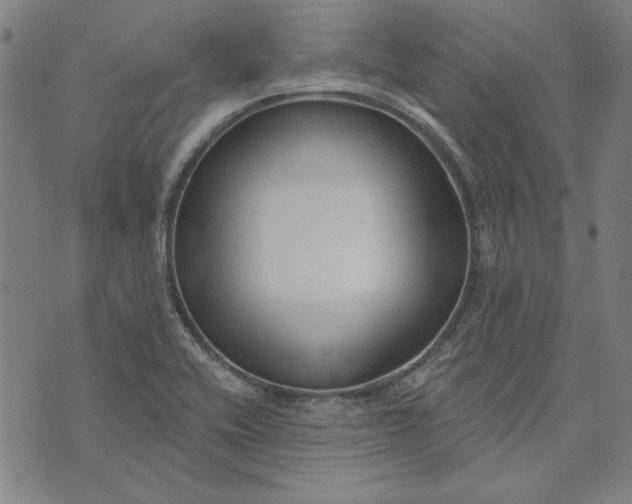 X0000073761416200608171345