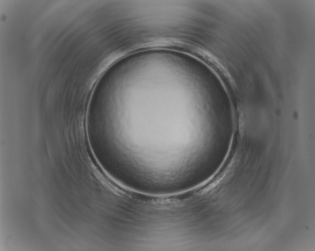 X0000073761417200608171345