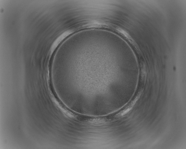 X0000073761418200608171345