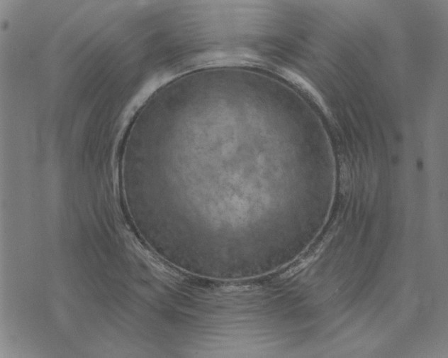 X0000073761419200608171345