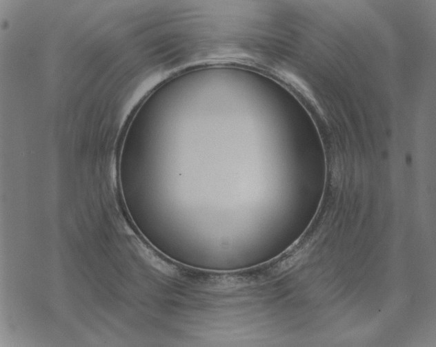 X0000073761420200608171345