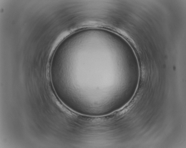 X0000073761421200608171345