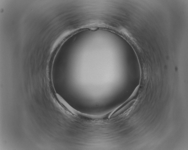 X0000073761422200608171345