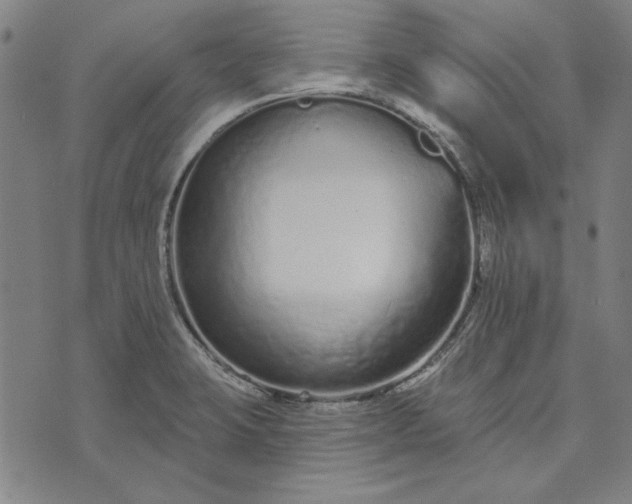 X0000073761423200608171345