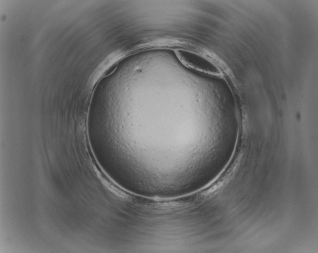 X0000073761425200608171345