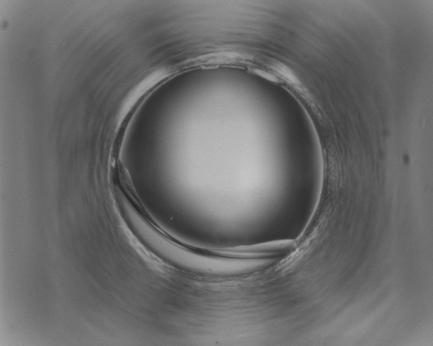 X0000073761426200608171345