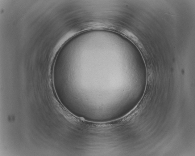 X0000073761427200608171345