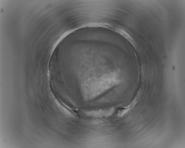 X0000073761428200608171345