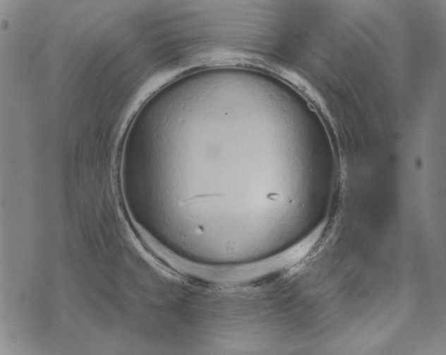 X0000073761429200608171345