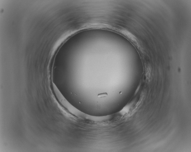 X0000073761430200608171345