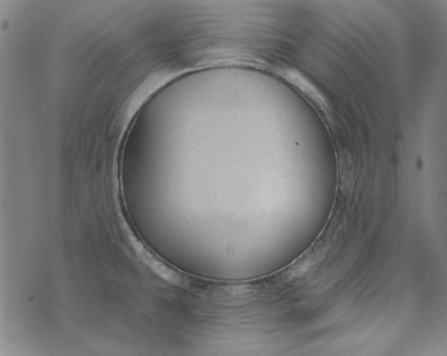 X0000073761431200608171345