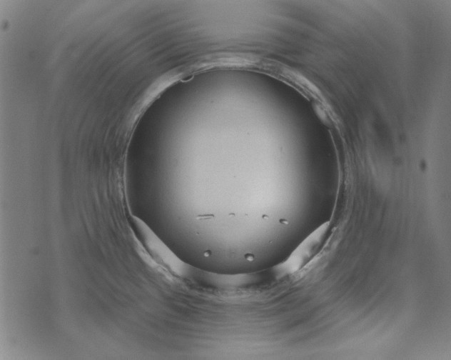 X0000073761433200608171345