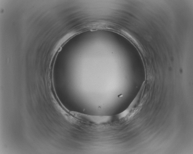 X0000073761434200608171345