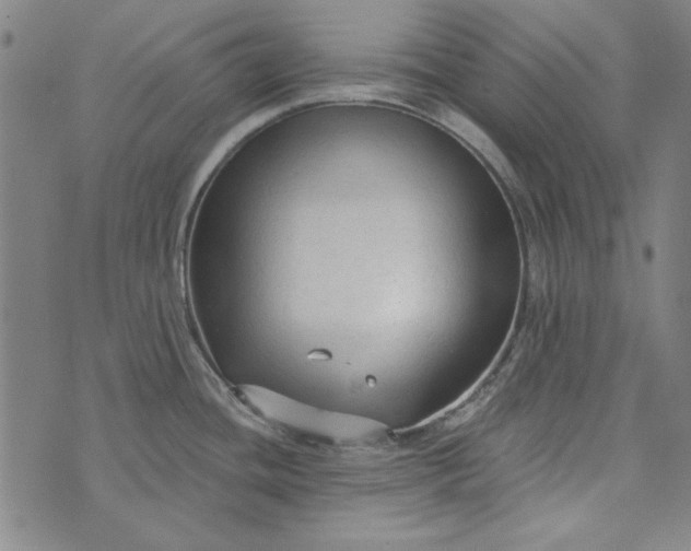 X0000073761436200608171345