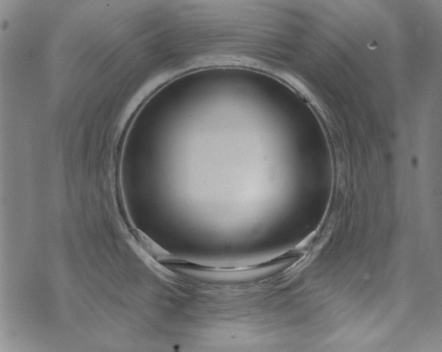 X0000073761438200608171345