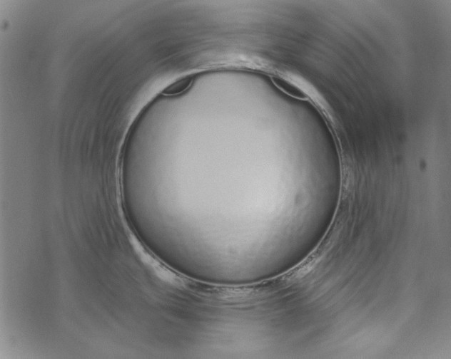 X0000073761439200608171345