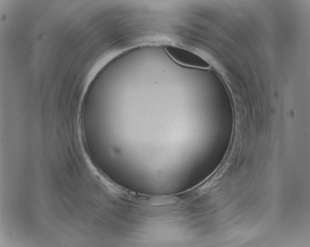 X0000073761440200608171345