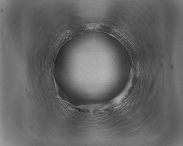 X0000073761441200608171344