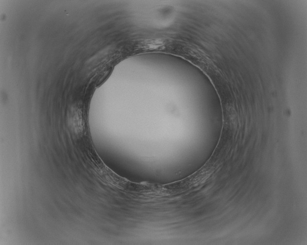 X0000073761442200608171344