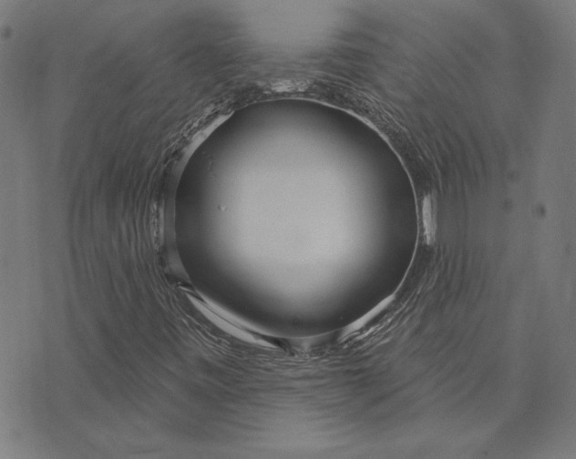 X0000073761443200608171344