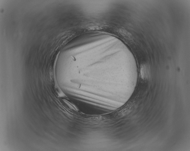 X0000073761444200608171344