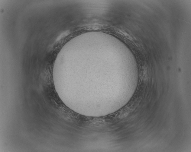 X0000073761446200608171344