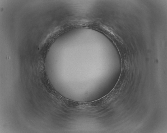 X0000073761447200608171344