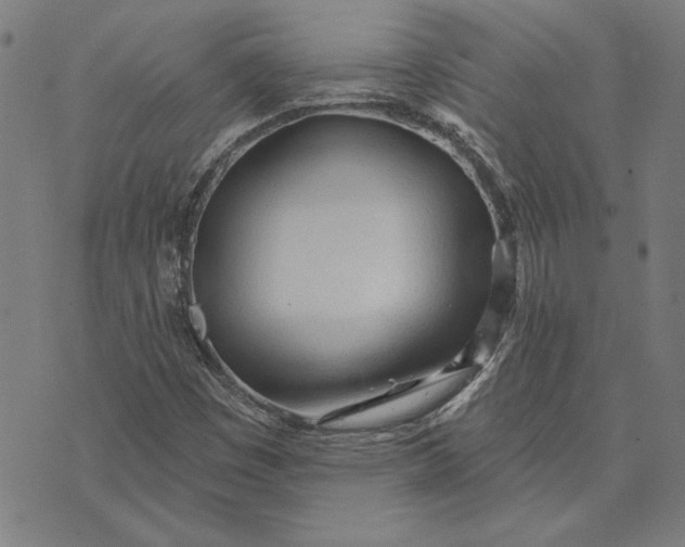 X0000073761449200608171344