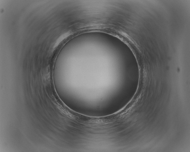 X0000073761450200608171344