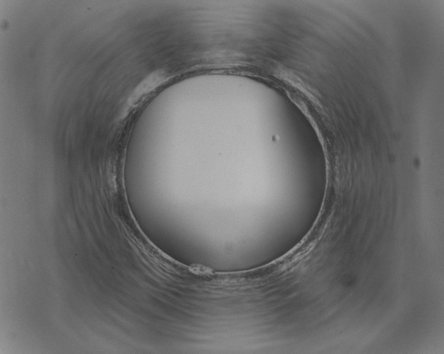 X0000073761451200608171344