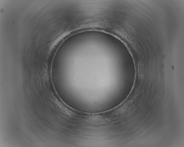 X0000073761452200608171344