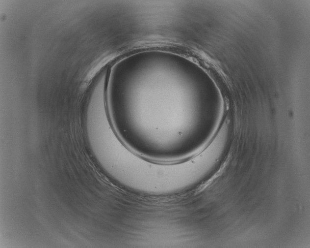 X0000073761453200608171344