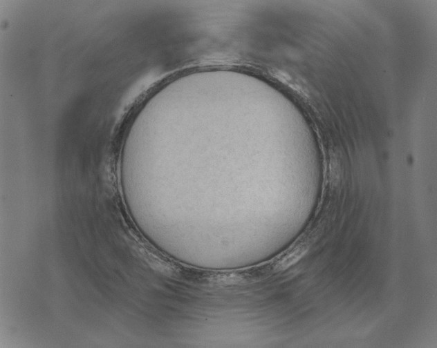 X0000073761454200608171344