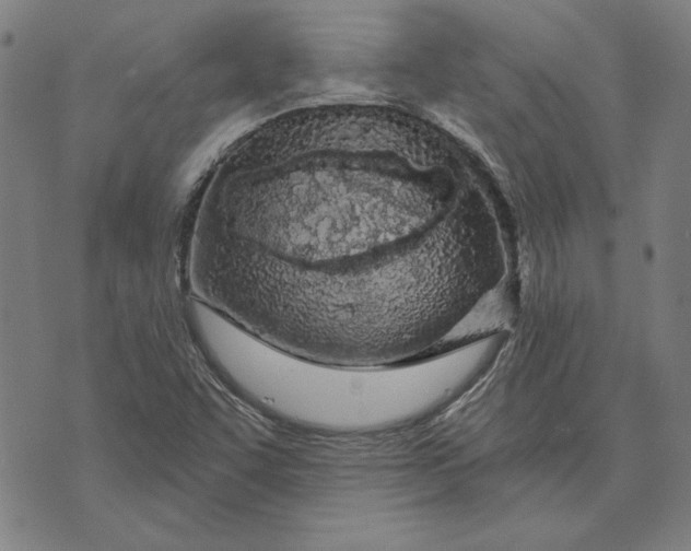 X0000073761455200608171344