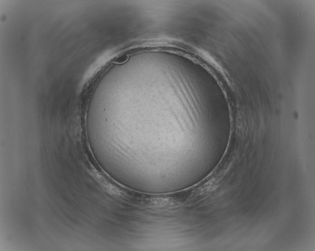 X0000073761456200608171344