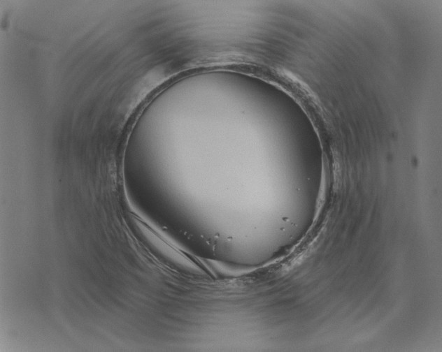 X0000073761457200608171344