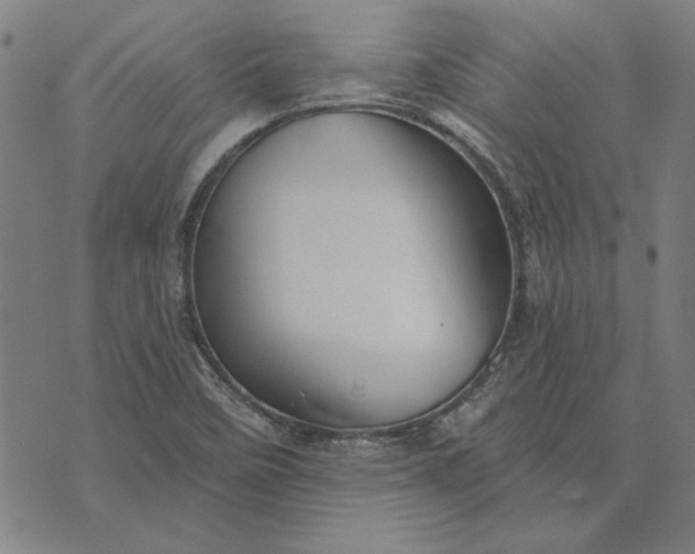 X0000073761458200608171344